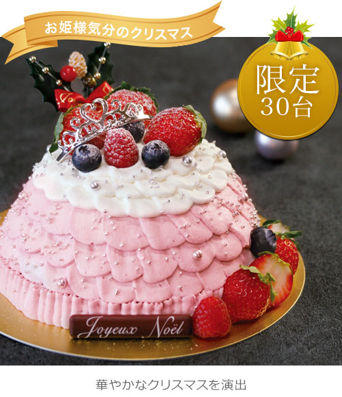 クリスマスケーキのご予約なら玉華堂 店頭受取 注文予約 早期割引 磐田市 袋井市 浜松市 玉華堂 玉華堂